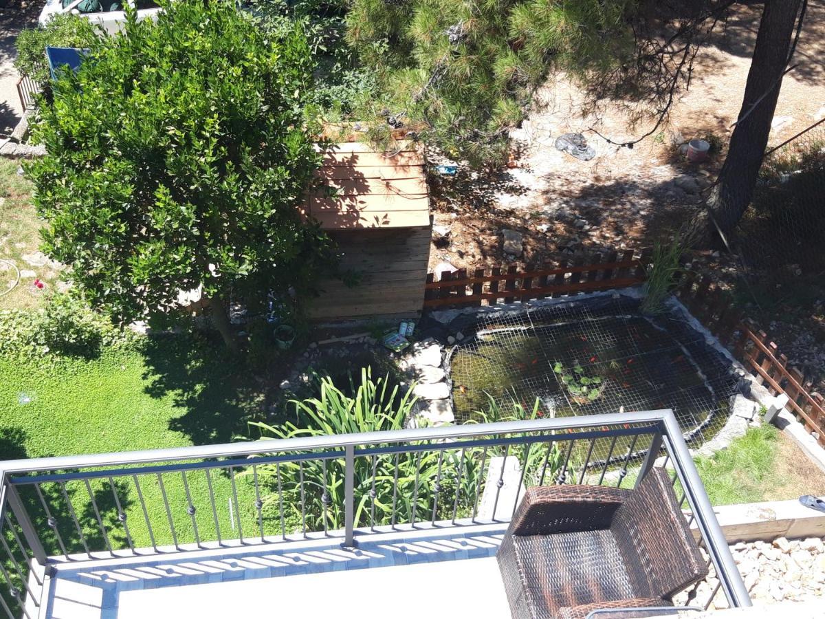 Apartment Ponistra